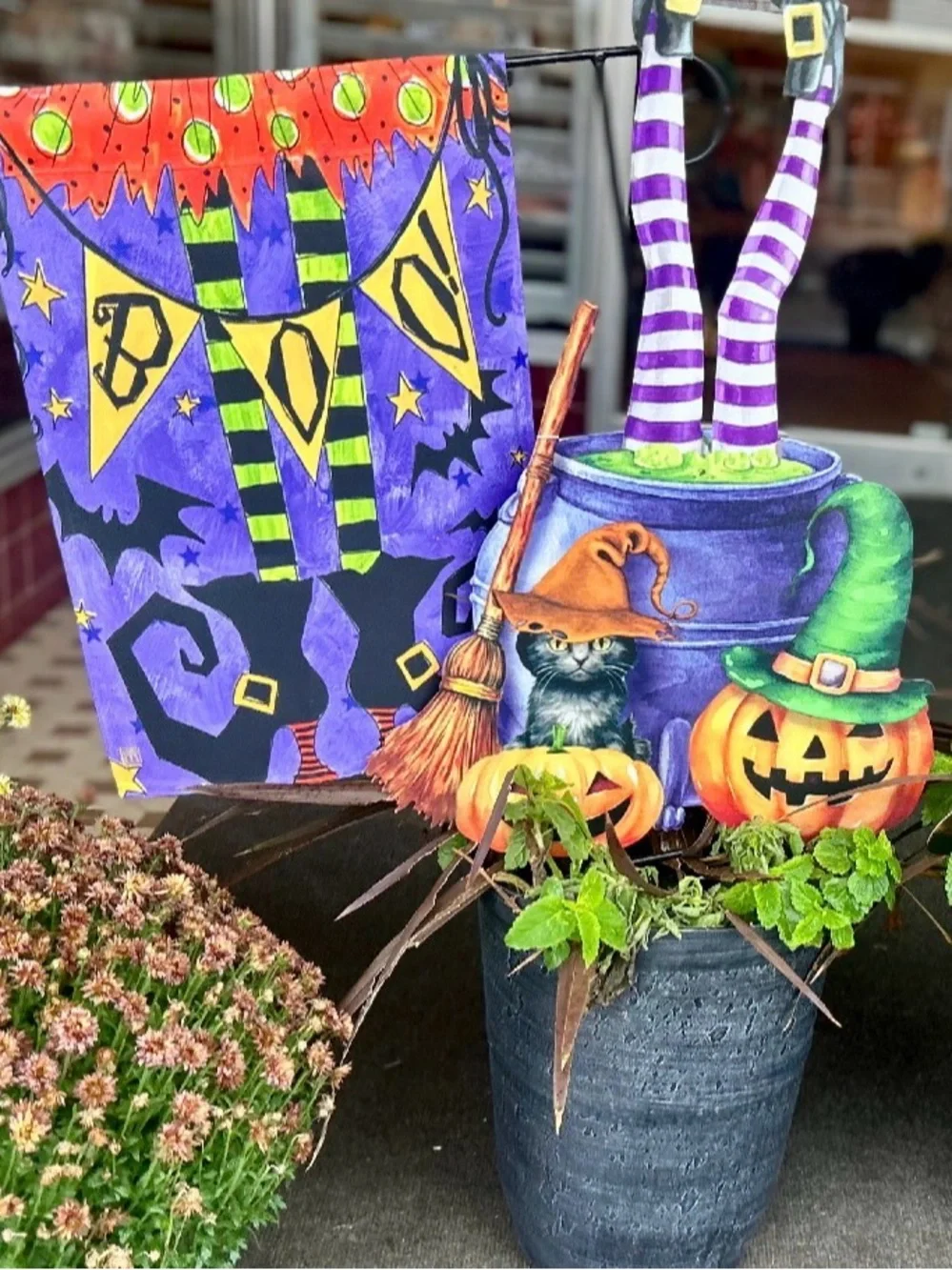 Studio M Halloween Witch and Haunted House Decor Set - Purple, Orange, Green